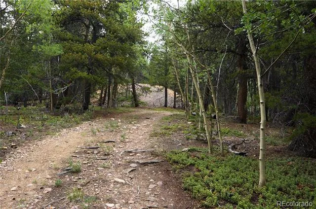 00 Lamartine Road Idaho Springs, CO 80452