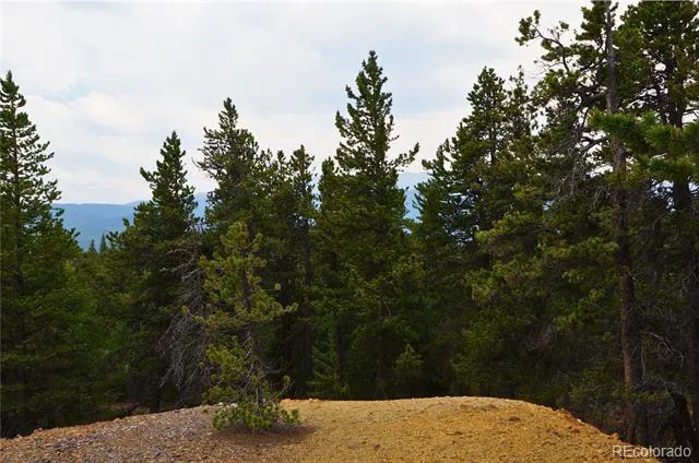 00 Lamartine Road Idaho Springs, CO 80452