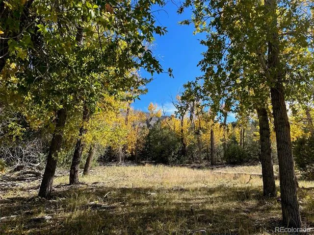 124 Indian Hill Road Mosca, CO 81146