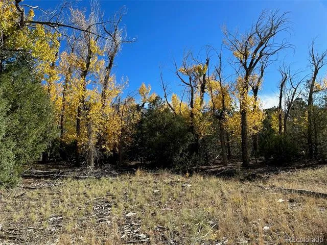 124 Indian Hill Road Mosca, CO 81146