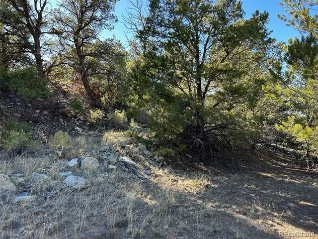 124 Indian Hill Road Mosca, CO 81146