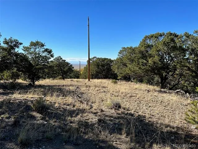 124 Indian Hill Road Mosca, CO 81146