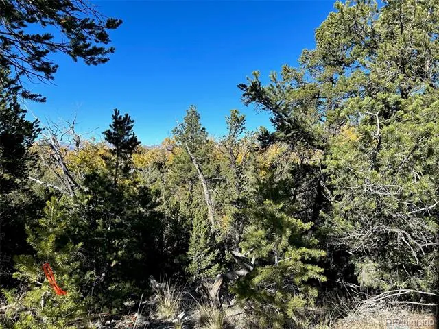 124 Indian Hill Road Mosca, CO 81146