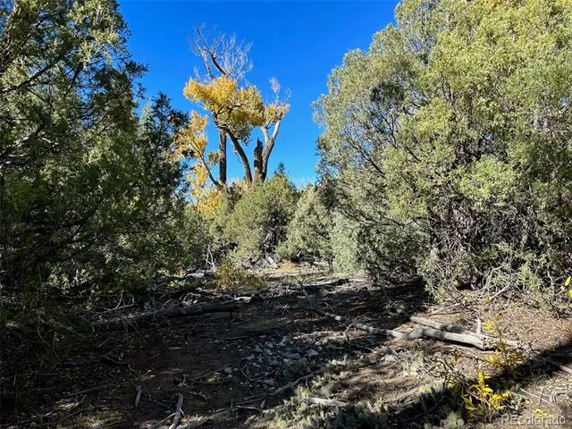 124 Indian Hill Road Mosca, CO 81146