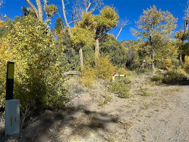 124 Indian Hill Road Mosca, CO 81146