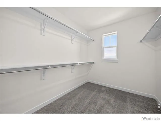 1596 Peach Avenue Erie, CO 80516