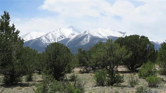 28924 Timber Ridge Buena Vista, CO 81211
