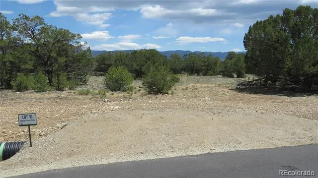 28924 Timber Ridge Buena Vista, CO 81211