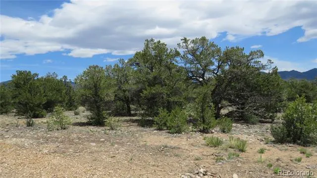 28924 Timber Ridge Buena Vista, CO 81211