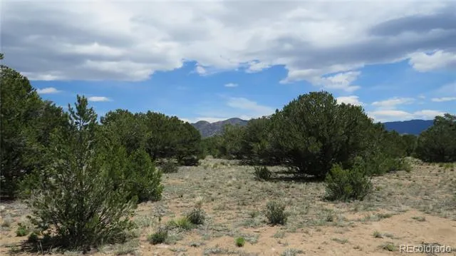28924 Timber Ridge Buena Vista, CO 81211