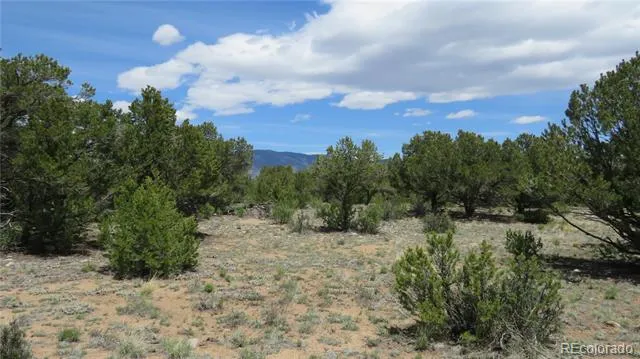 28924 Timber Ridge Buena Vista, CO 81211