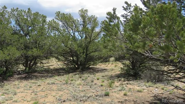 28924 Timber Ridge Buena Vista, CO 81211