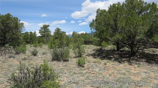 28924 Timber Ridge Buena Vista, CO 81211