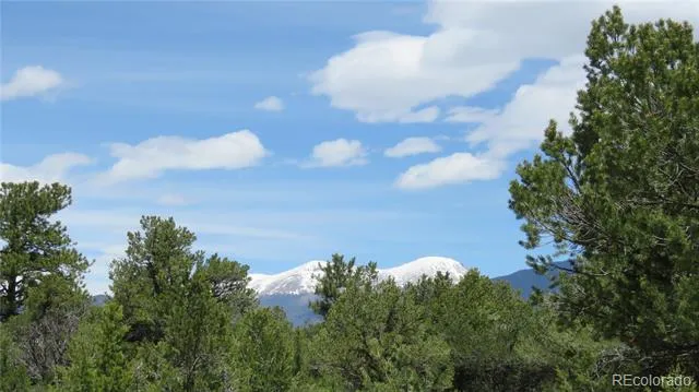 28924 Timber Ridge Buena Vista, CO 81211