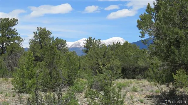 28924 Timber Ridge Buena Vista, CO 81211