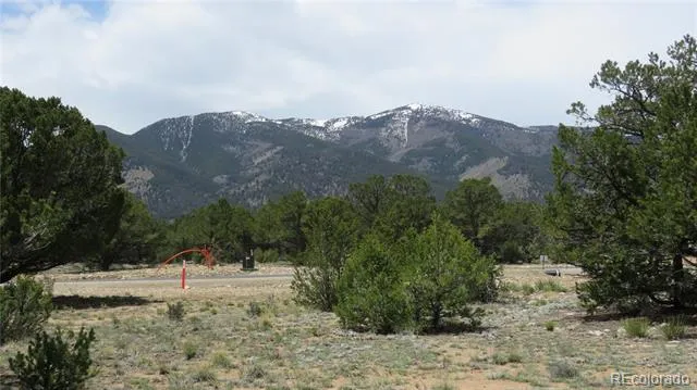 28924 Timber Ridge Buena Vista, CO 81211