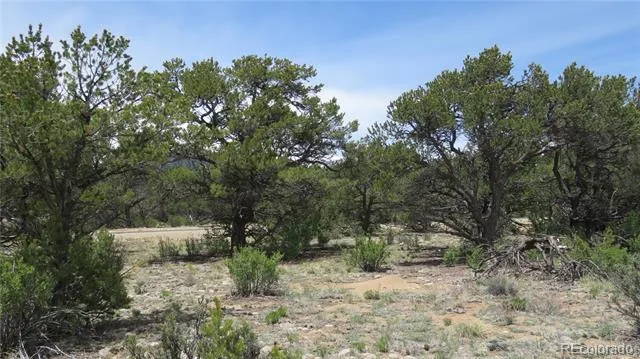 28924 Timber Ridge Buena Vista, CO 81211