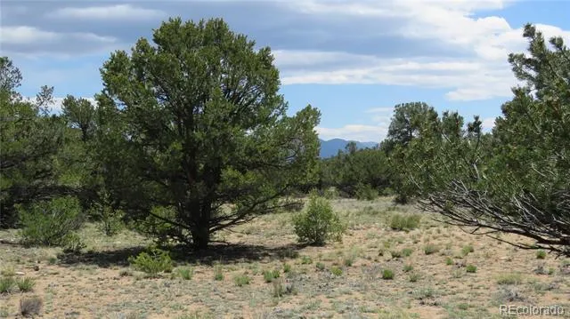 28924 Timber Ridge Buena Vista, CO 81211