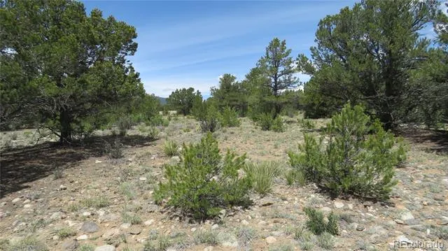 28924 Timber Ridge Buena Vista, CO 81211