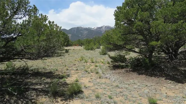 28924 Timber Ridge Buena Vista, CO 81211