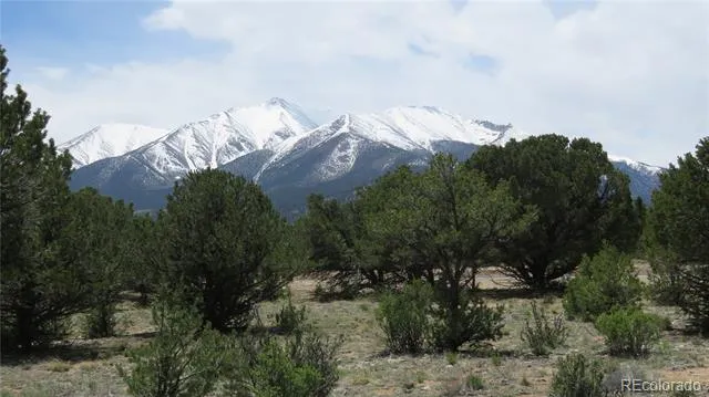 28924 Timber Ridge Buena Vista, CO 81211