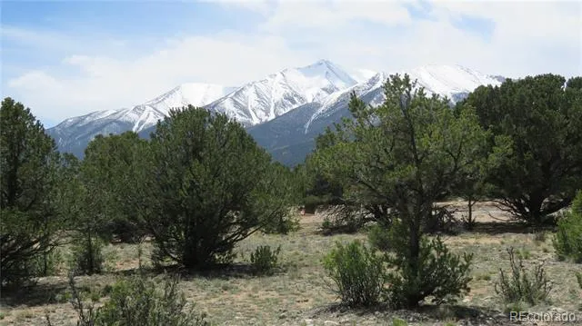 28924 Timber Ridge Buena Vista, CO 81211