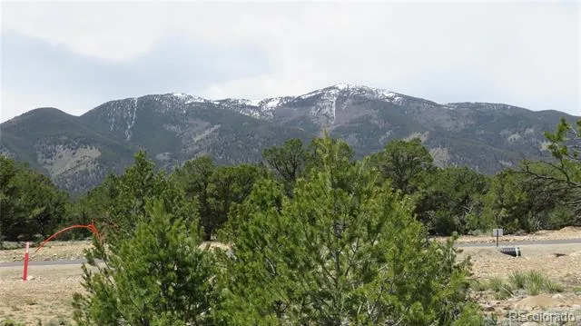 28924 Timber Ridge Buena Vista, CO 81211