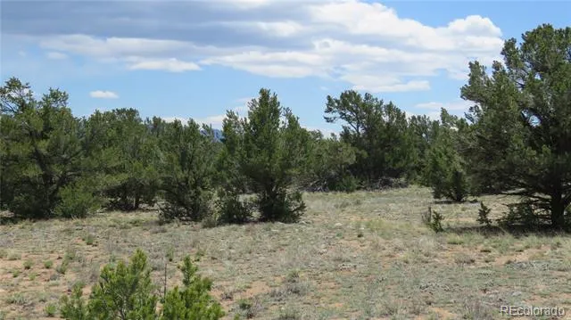 28924 Timber Ridge Buena Vista, CO 81211