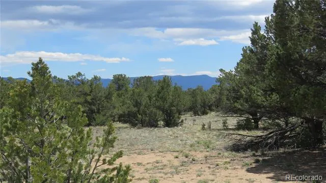 28924 Timber Ridge Buena Vista, CO 81211