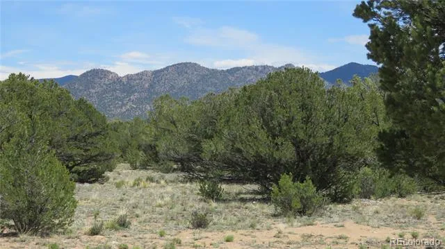 28924 Timber Ridge Buena Vista, CO 81211