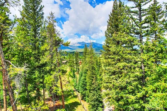 550 Gold Run Road Breckenridge, CO 80424