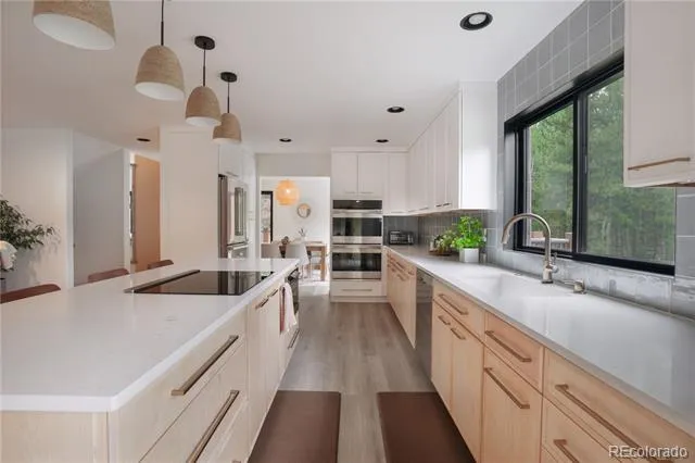1709 Red Hawk Road Silverthorne, CO 80498