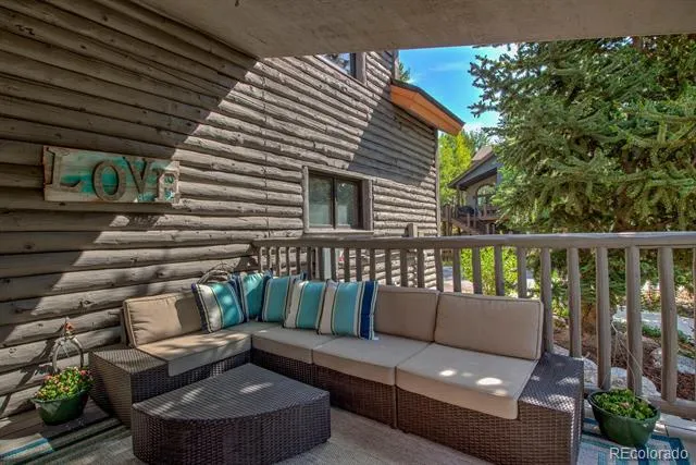 1709 Red Hawk Road Silverthorne, CO 80498