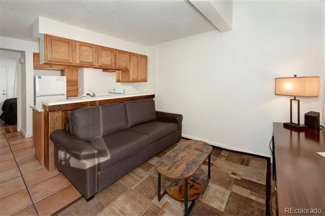 791 Rainbow Drive #791C Silverthorne, CO 80498