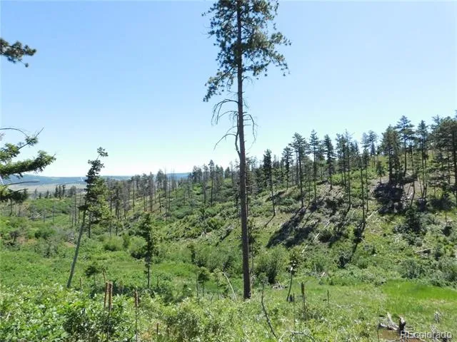 8249 Yuma Circle Larkspur, CO 80118