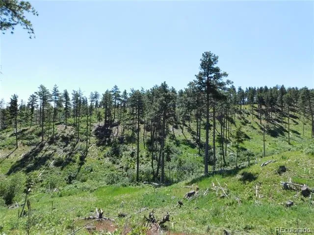 8249 Yuma Circle Larkspur, CO 80118