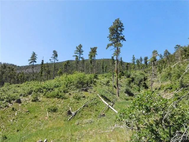 8249 Yuma Circle Larkspur, CO 80118