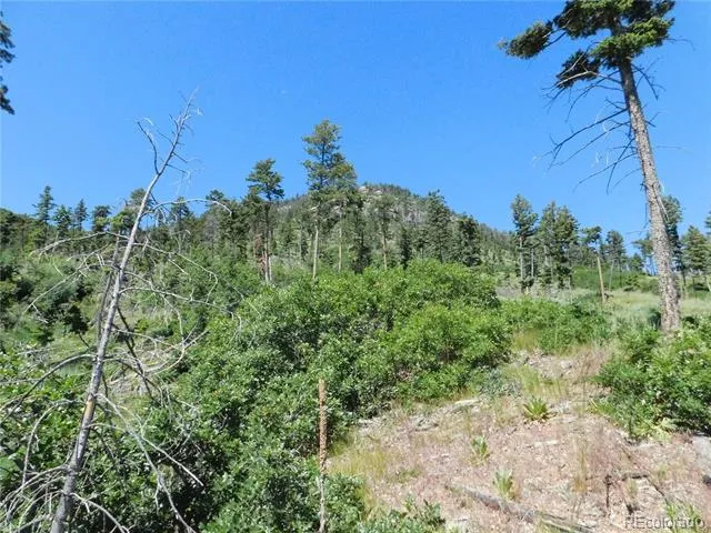 8249 Yuma Circle Larkspur, CO 80118