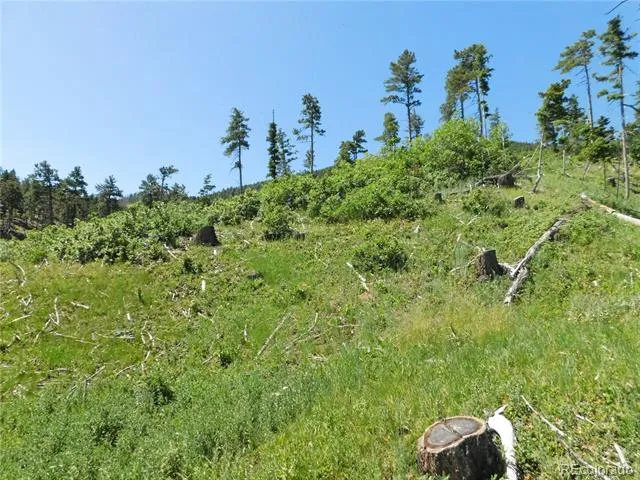 8249 Yuma Circle Larkspur, CO 80118