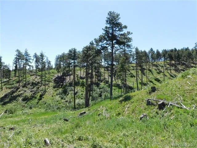 8249 Yuma Circle Larkspur, CO 80118