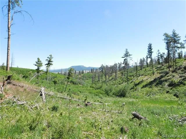 8249 Yuma Circle Larkspur, CO 80118