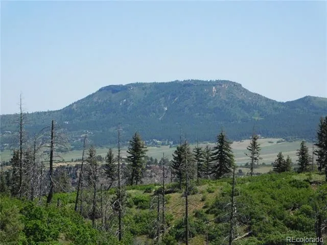 8249 Yuma Circle Larkspur, CO 80118