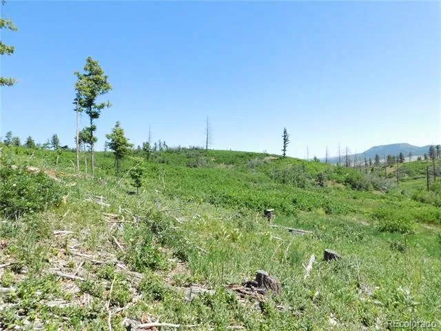 8249 Yuma Circle Larkspur, CO 80118