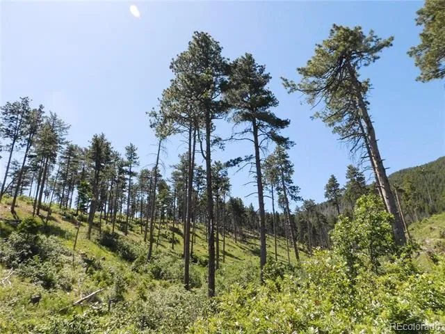 8249 Yuma Circle Larkspur, CO 80118