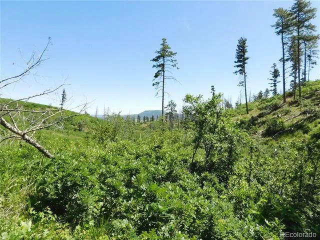 8249 Yuma Circle Larkspur, CO 80118