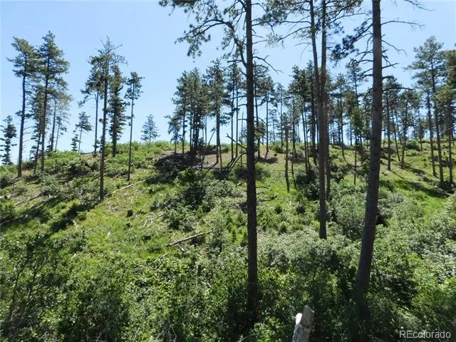 8249 Yuma Circle Larkspur, CO 80118
