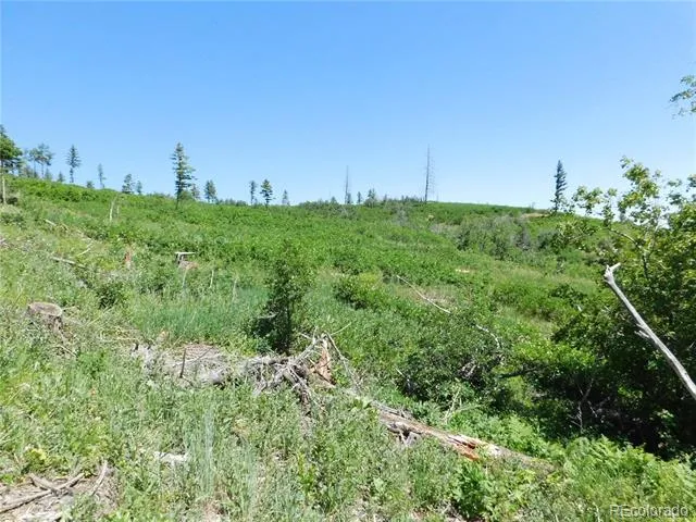8249 Yuma Circle Larkspur, CO 80118