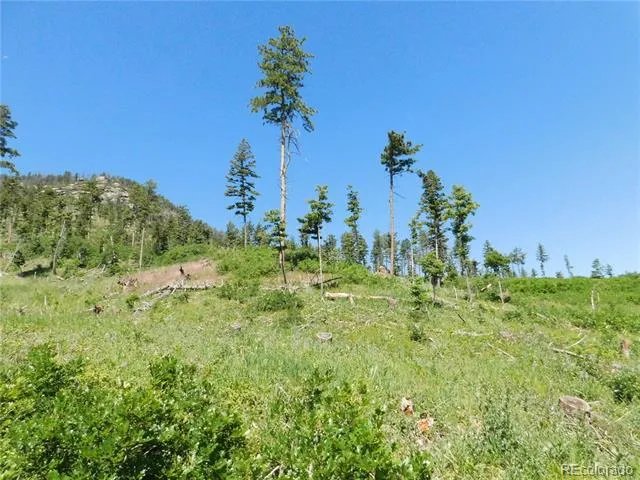 8249 Yuma Circle Larkspur, CO 80118