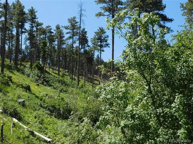 8249 Yuma Circle Larkspur, CO 80118