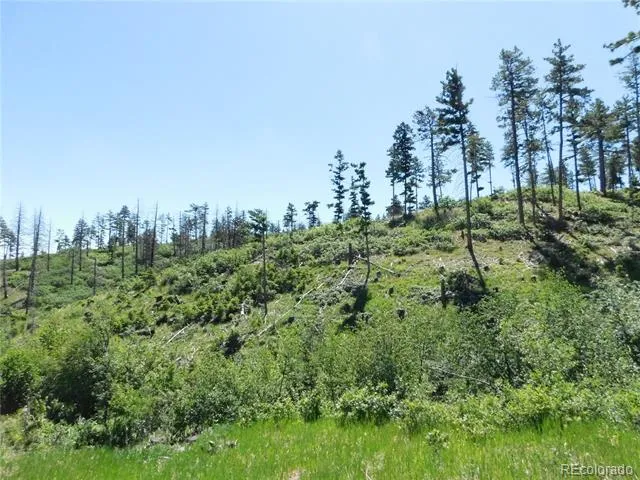 8249 Yuma Circle Larkspur, CO 80118